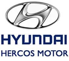 hyundai1 copy.png